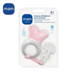 Mam Ann Dent Refrig+Attache