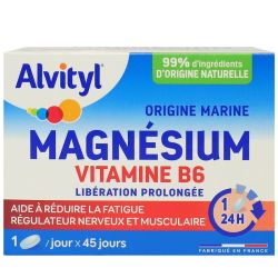 Alvityl Liberation Prolongee Magnesium Vitamine B6 Cpr Lp B/45