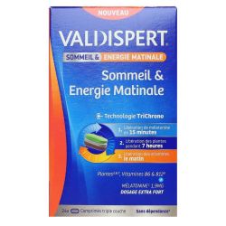 Valdispert Energie Matinale Cpr B/24