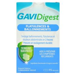 Gavidigest Ballonnement Gel B/15