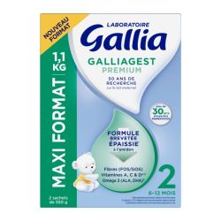 Gallia Galliagest Premium 2 Lait Pdre B/1,1Kg