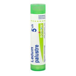Homeopathie Boiron 1Dh-30Ch Gran T/4G