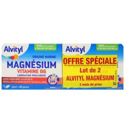 Alvityl Liberation Prolongee Magnesium Vitamine B6 Cpr Lp 2B/45
