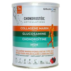 Chondrosteo + Collagene Marin Pdr Pot/280G