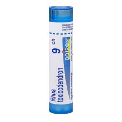 Homeopathie Boiron 1Dh-30Ch Gran T/4G