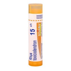 Homeopathie Boiron 1Dh-30Ch Gran T/4G