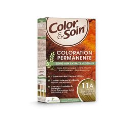 Color&Soin Kit Coloration Permanente 11A Blond Sable Cendre