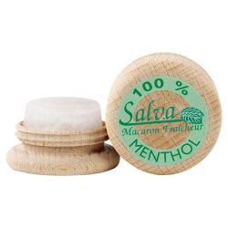 Salva Crayon Antimigraine Menthe Macaron Gm