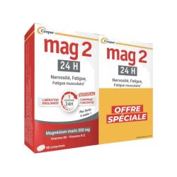 Mag 2 24H Cpr 2B/40