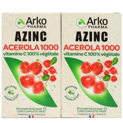 Azinc Vegetal Acerola 1000 Vitamine C Cpr A Croquer 2B/30