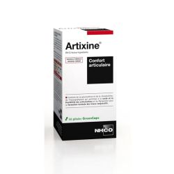 Nhco Artixine Gel Articulations B/56