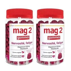 Mag 2 Gomme Framboise 2Pots/45