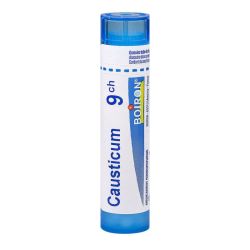 Homeopathie Boiron 1Dh-30Ch Gran T/4G
