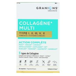 Granions Collagene Multi Type I-Ii-Iii-V-X Cpr B/60