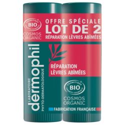 Dermophil Indien Stick Levres Abimees Bio 2/4G