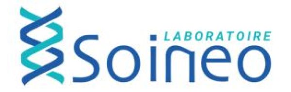 Soineo