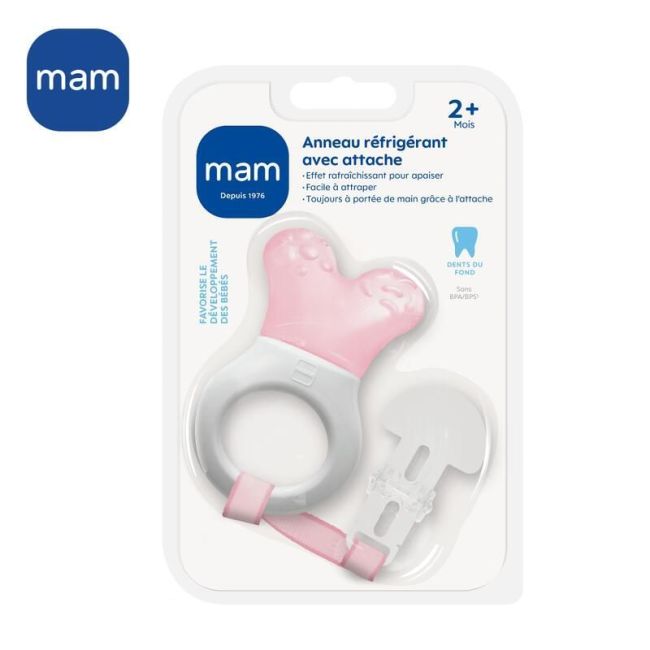 Mam Ann Dent Refrig+Attache