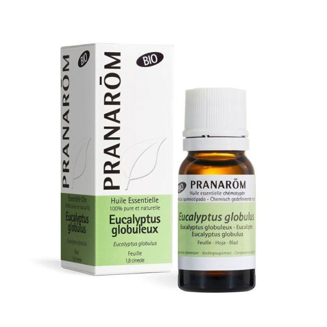 Pranarom Huile Essentielle Eucalyptus Globuleux Fl/10Ml