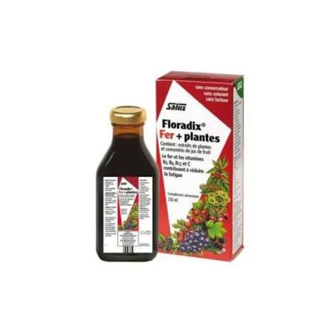 Floradix Fer + Plantes Boisson Vigueur Energie Bouteille/250Ml