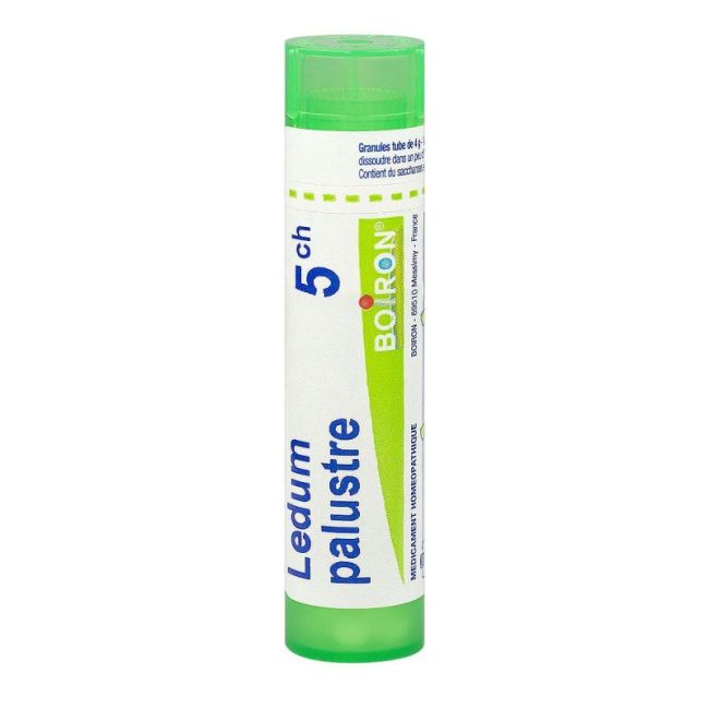 Homeopathie Boiron 1Dh-30Ch Gran T/4G