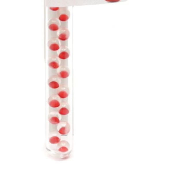 Papermints Cool Caps Caps Rafraichissante Fraise T/18